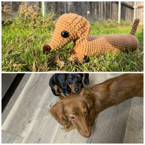 A One-of-a-Kind Gift for a One-of-a-Kind Pup