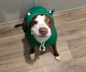 Every boy is a good boy!