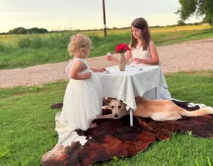 Tea Time is Tail Time!